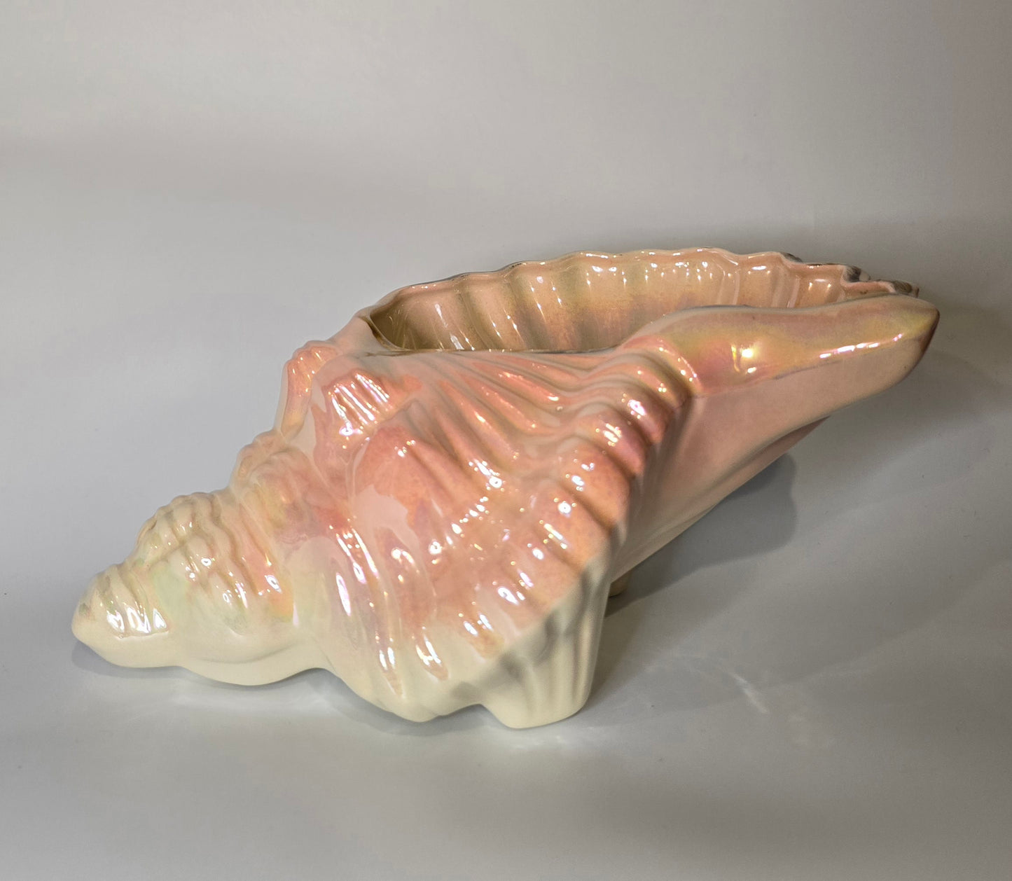 DIANA | CONCH SHELL VASE