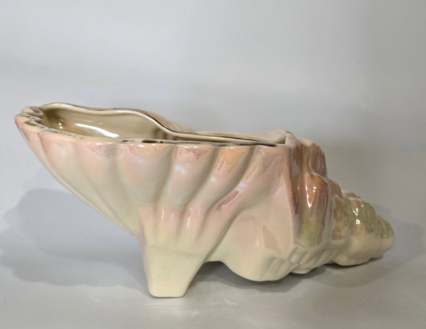 DIANA | CONCH SHELL VASE