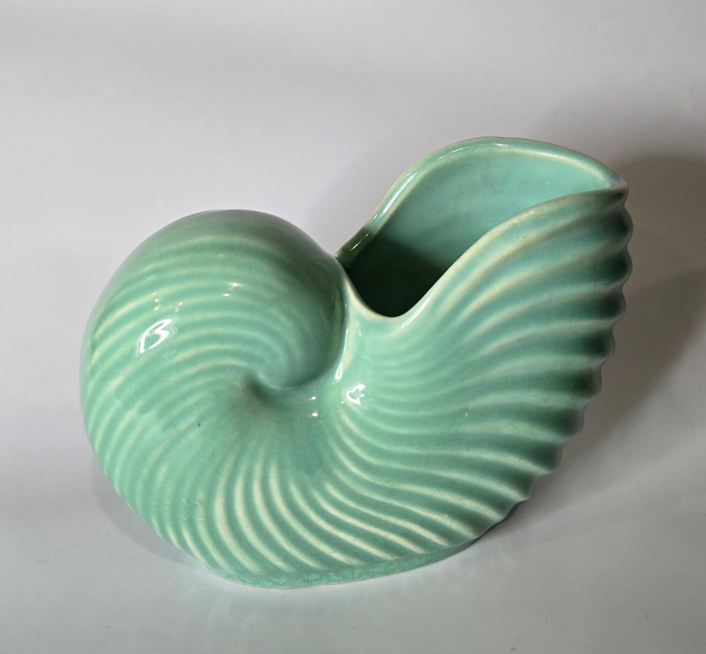 CASEY WARE | SHELL VASE