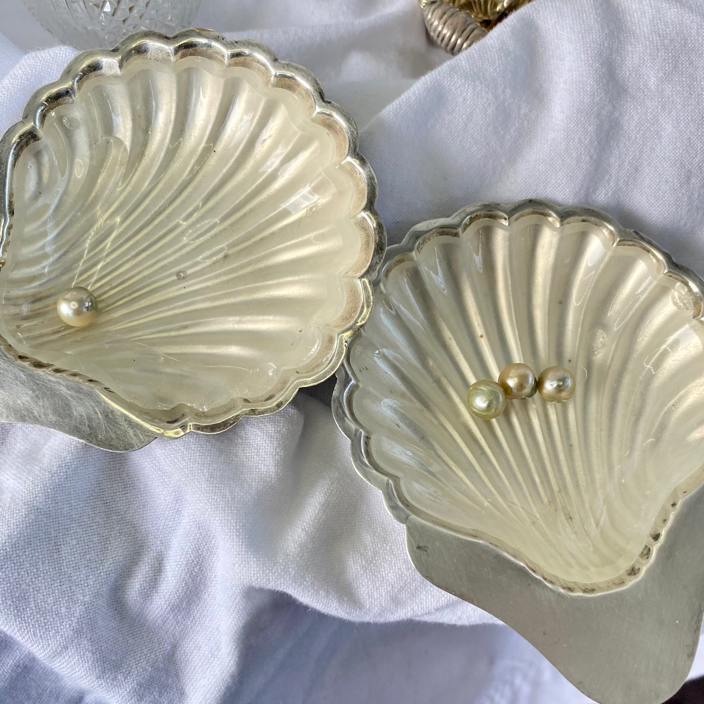 HARDY BROS | STERLING SILVER SEASHELLS