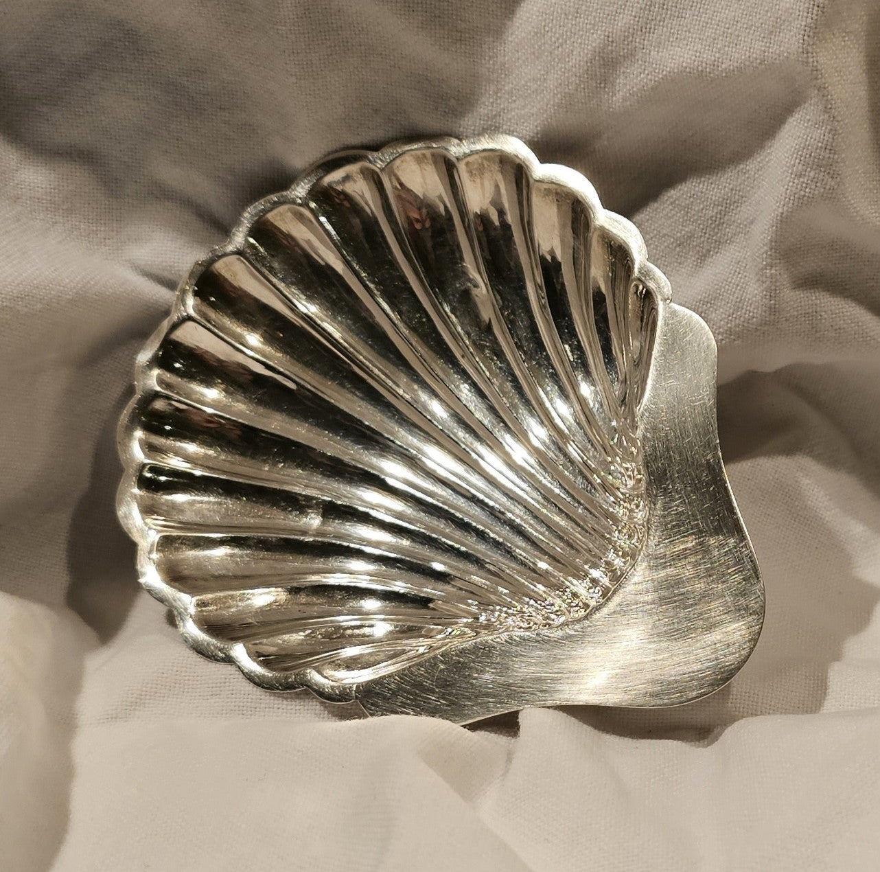 HARDY BROS | STERLING SILVER SEASHELLS