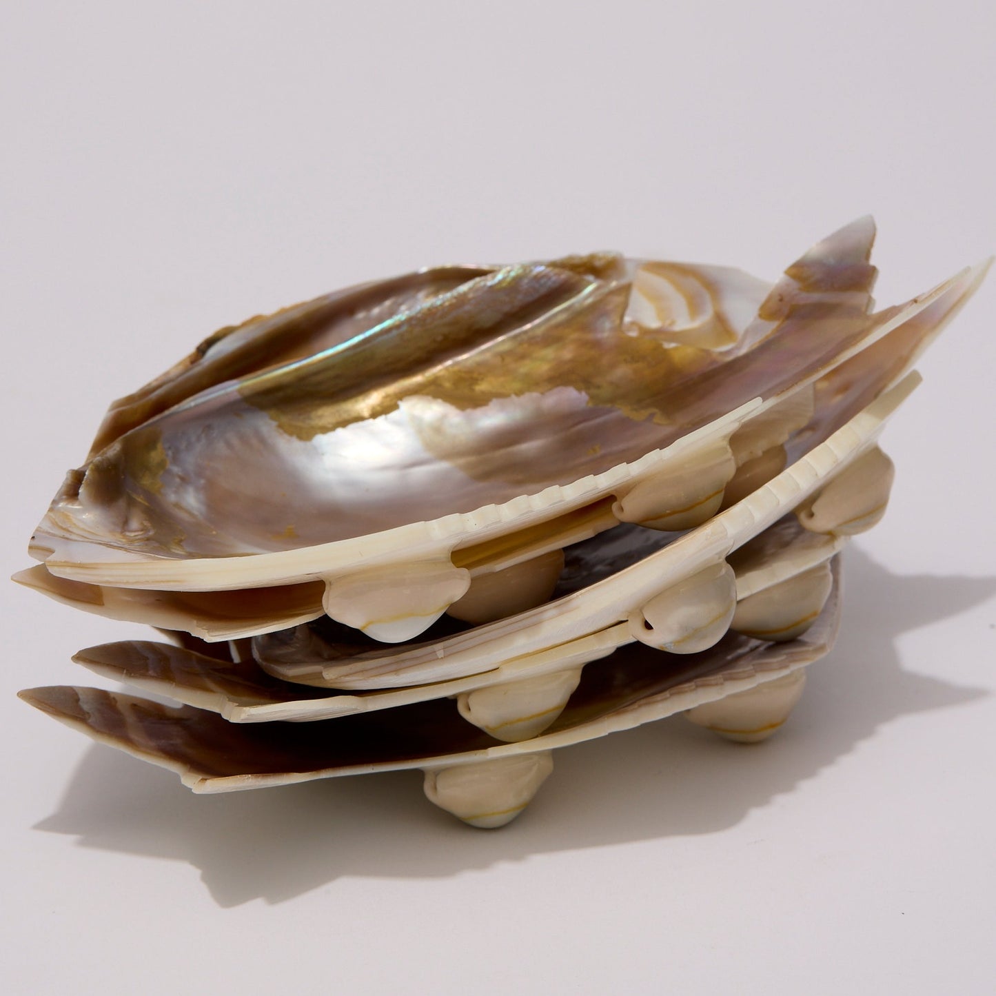 SHELL | PLATES