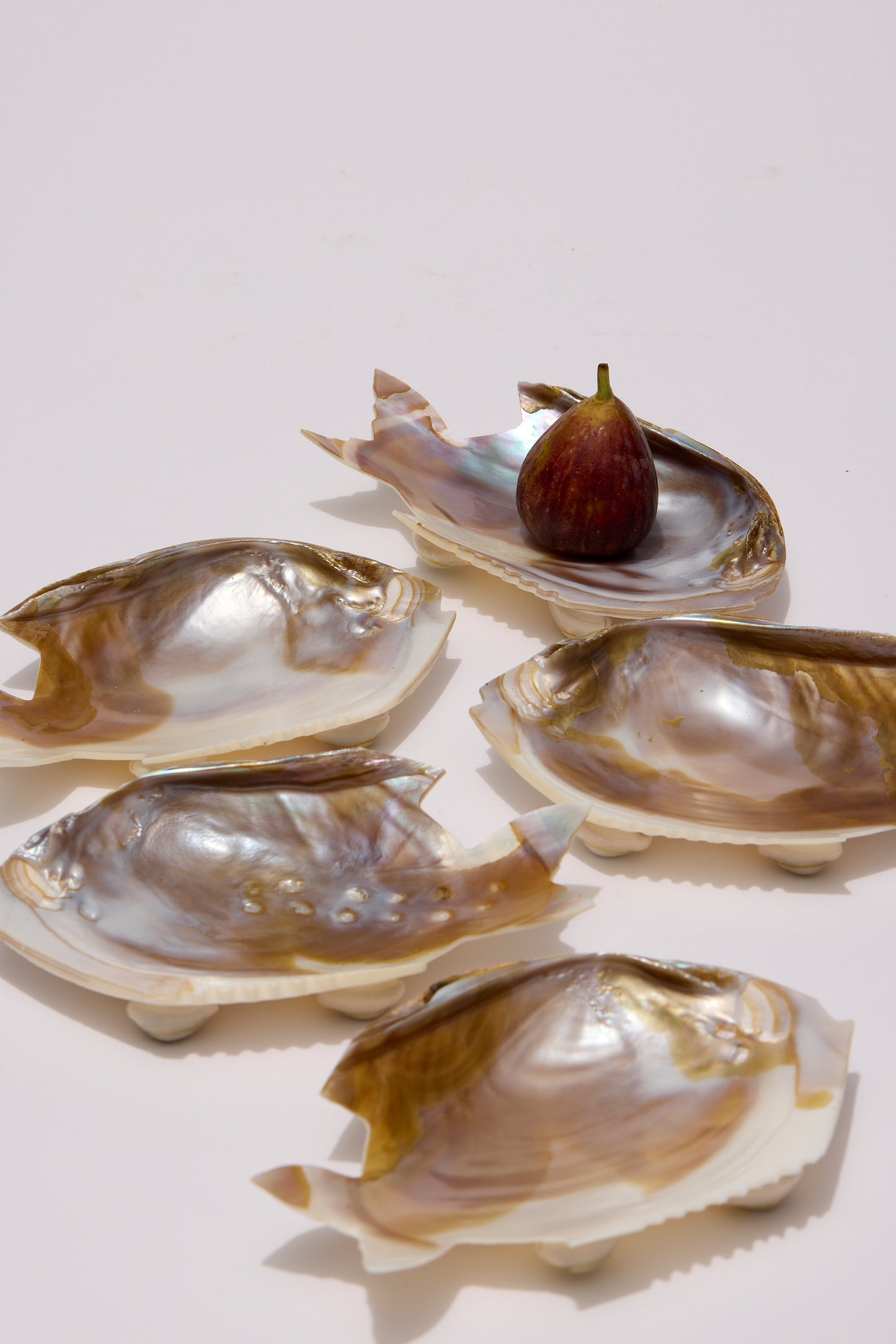 SHELL | PLATES