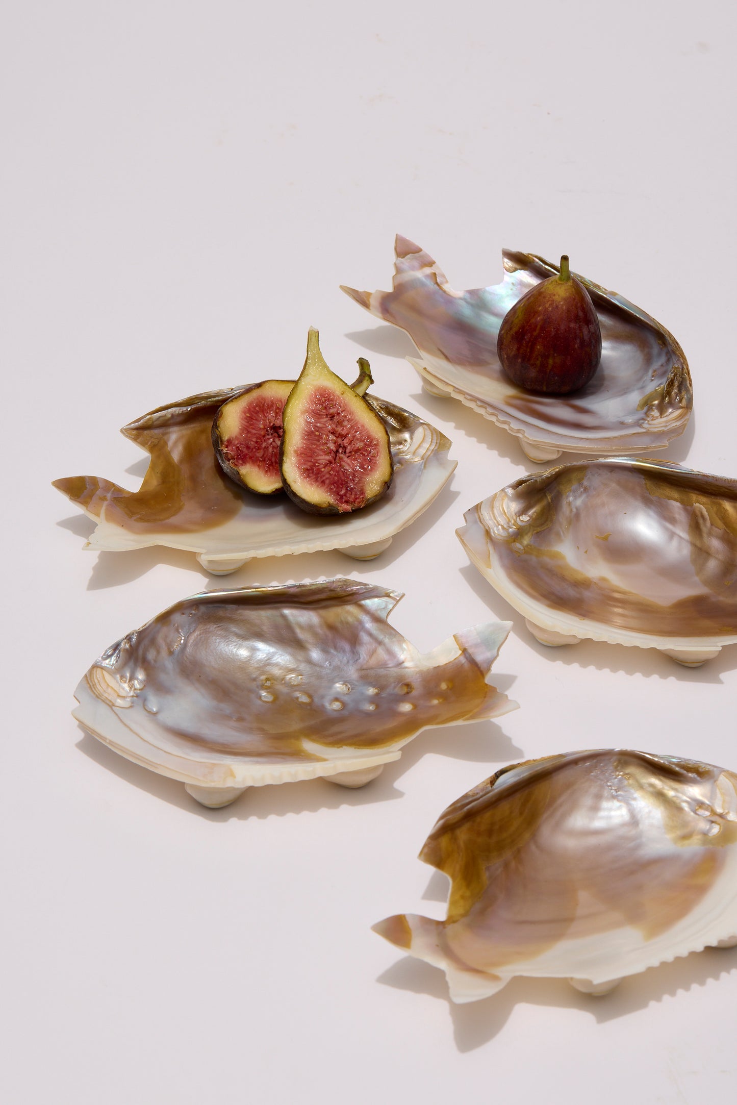SHELL | PLATES