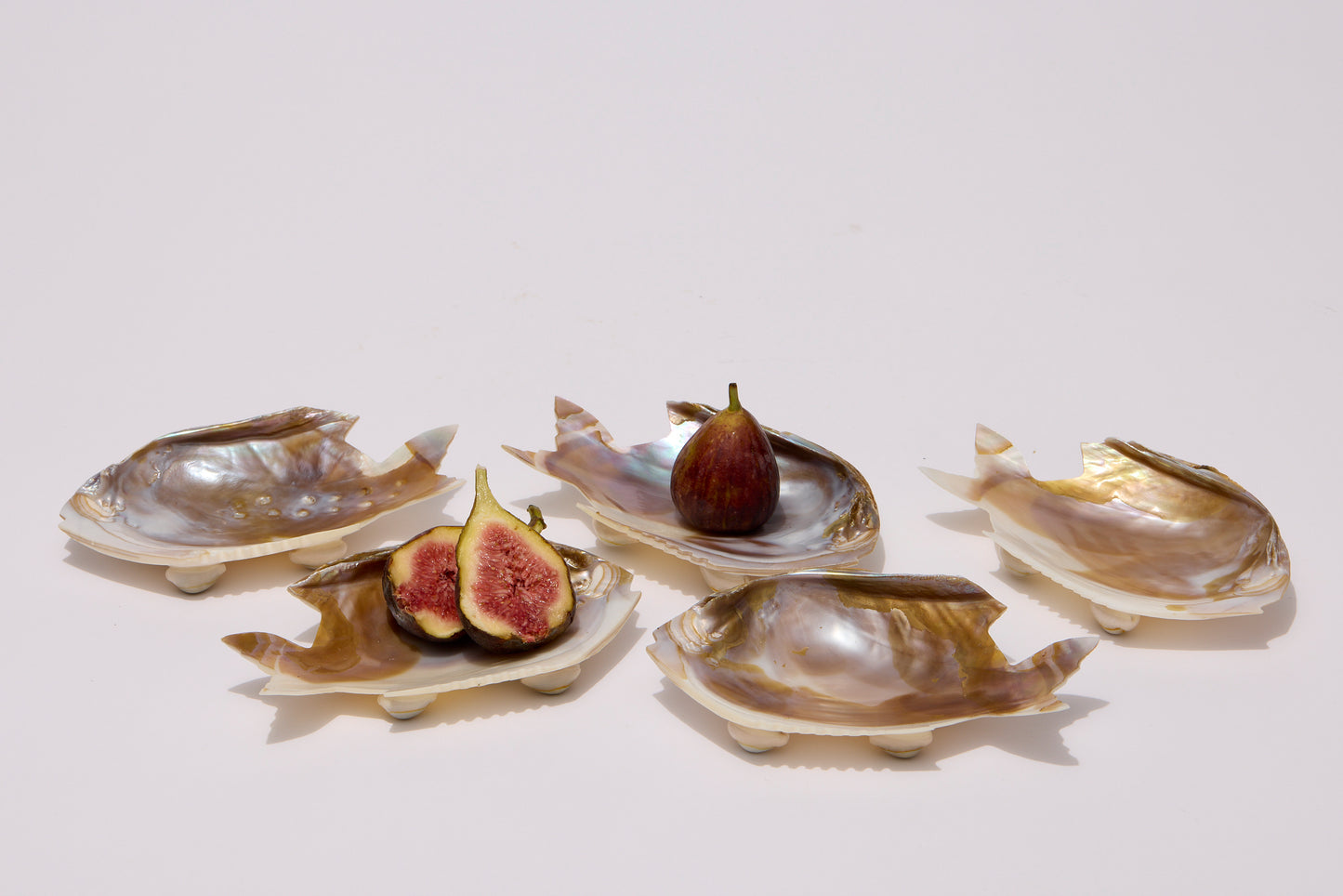 SHELL | PLATES