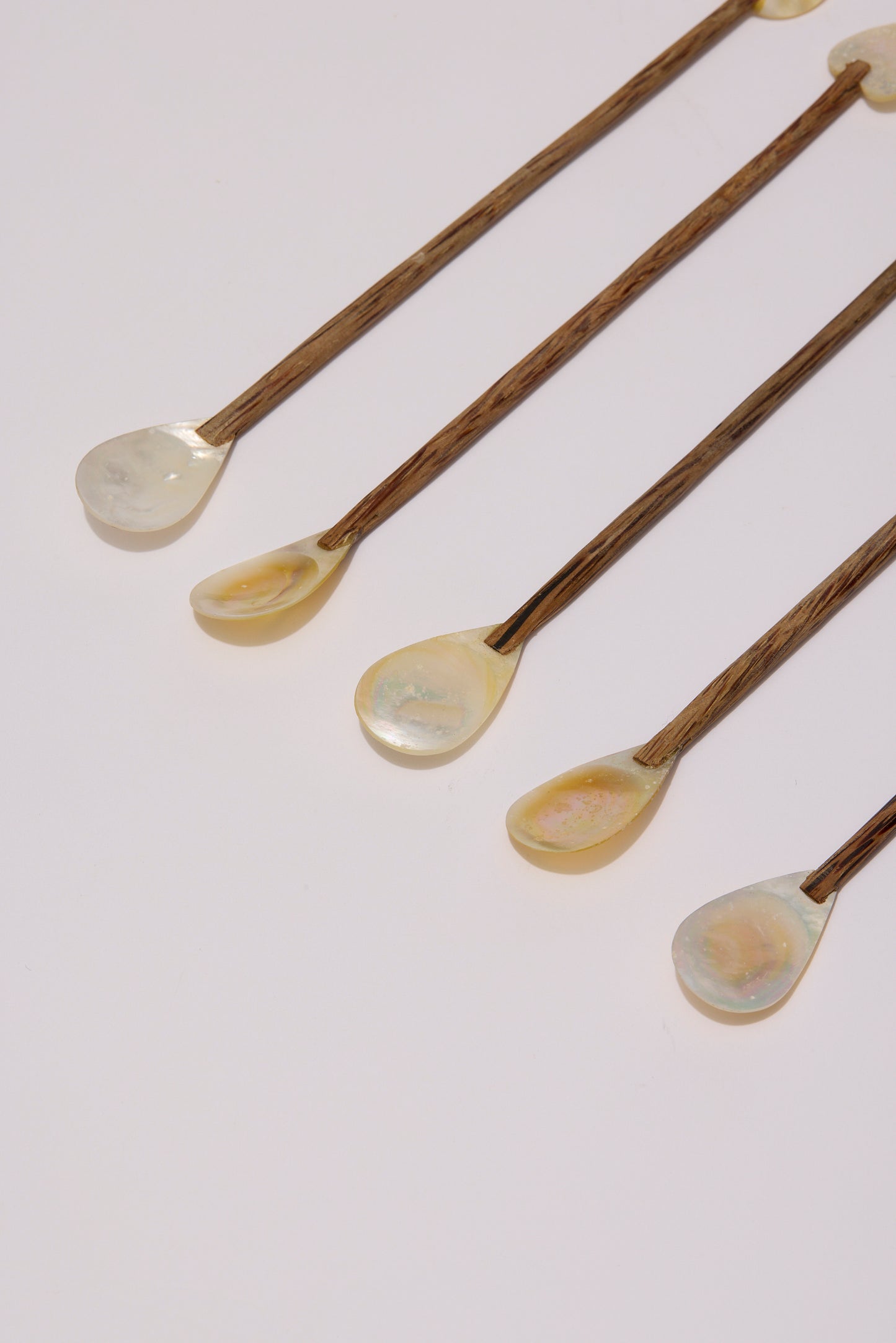 SHELL | PLATES