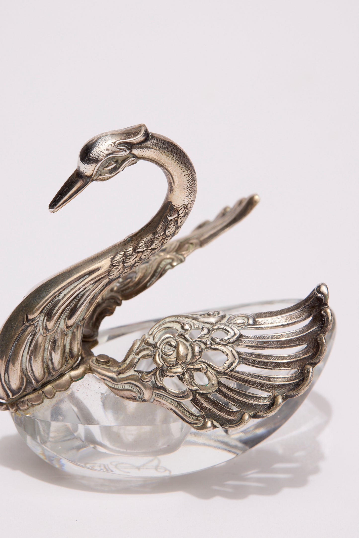AUGUST BETZ | THE SWAN