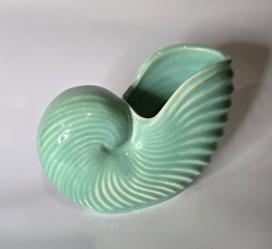 CASEY WARE | SHELL VASE