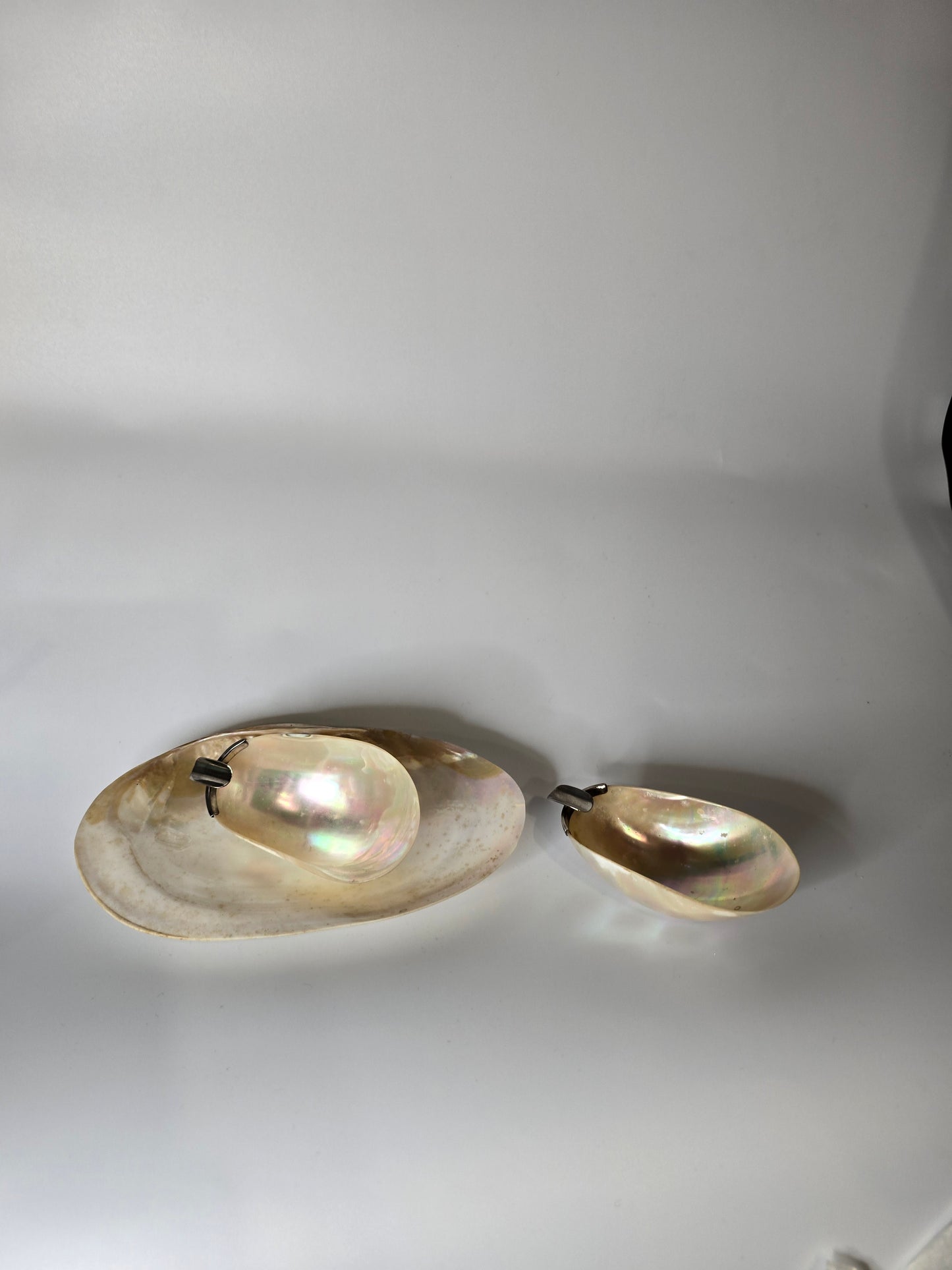 MOTHER OF PEARL SHELL DISHES | DUO