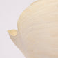SEASHELL SCULPTURE WITH NATURAL MELON NACRE (LARGE)